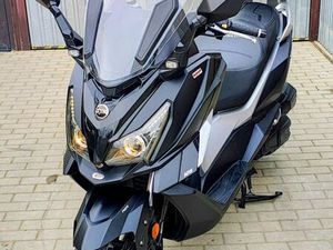 SYM CRUISYM 300/125 20R. ( GTS JOYMAX ADX) RZECZYCA SUCHA