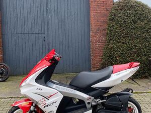PEUGEOT JETFORCE 50 CCM