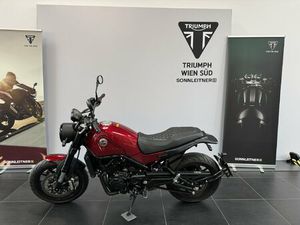 OCCASION BENELLI LEONCINO 500