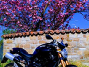 DUCATI MONSTER 1100 S