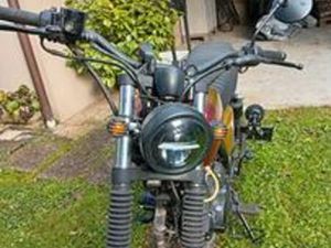 BRIXTON CROMWELL 250 - 2020