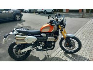 TRIUMPH 1200 SCRAMBLER XE