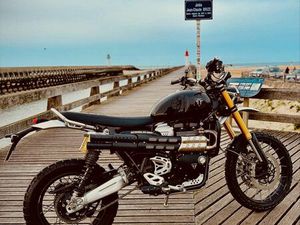 TRIUMPH SCRAMBLER 1200 XE 2024