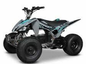 APOLLO MOTORS ODJAR PREDATOR 1500 W - QUAD ENFANT 125 CM3