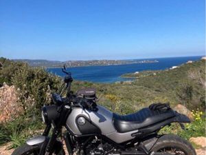 BENELLI LEONCINO 500 – 6 230 KM