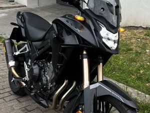 AKRAPOVIC HOMOLOGUÉ