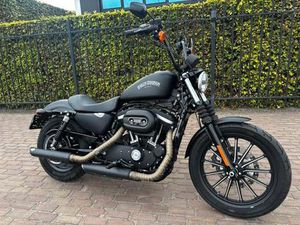 ② HARLEY DAVIDSON IRON 883
