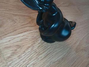 WUNDERSCHÖNE KOTFLÜGELVERZIERUNG ENTE, NEU FÜR MOTORRAD/TRIKE