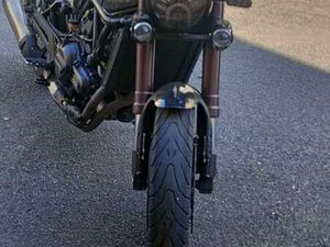 BENELLI LEONCINO NERO