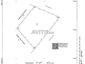 TERRAIN EN VENTE À AIN HAMRA MELLOUSSA
