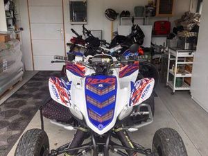 660 RAPTOR HOMOLOGUÉ