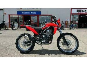 VENDO BETAMOTOR ALP 4.0 (2024 - 26) NUOVA A SANSEPOLCRO (CODICE 9921621) - MOTO.IT