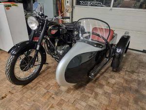 A7 GOLDEN FLASH VETERAN