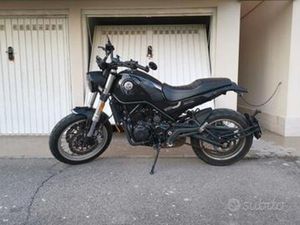 BENELLI LEONCINO 500 - 2021
