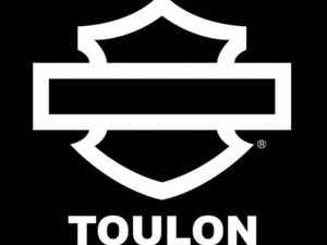 HARLEY-DAVIDSON SPORTSTER CUSTOM 1200 2019 1200 CM3 | MOTO CUSTOM | 19 604 KM | BLEU | 83160 LA VALETTE DU VAR