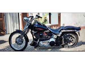 SPRINGER SOFTAIL FXSTS