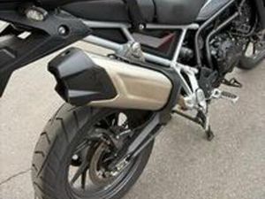 TRIUMPH TIGER 900 - 2024