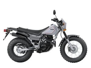 2026 YAMAHA TW 200