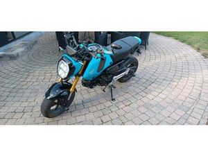 ② HONDA GROM MSX 125 CC BJ 2023