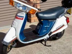 ② HONDA LEAD 125 CC (SCOOTER)