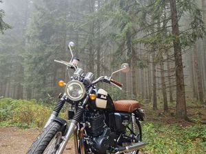 MASH SIX HUNDRED 650 CLASSIC GRÜN