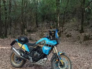 YAMAHA TENERÈ 700 RALLY EDITION
