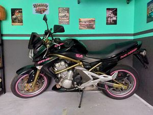 KAWASAKI ER-6N,