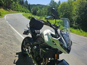 TRIUMPH TIGER