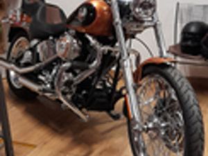 HARLEY DAVIDSON SOFTAIL ANNIVERSARIO