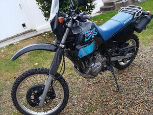 SUZUKI 650 DR