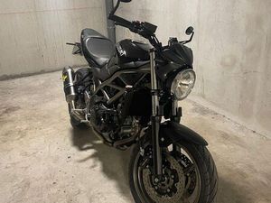 SV 650 ABS 2025