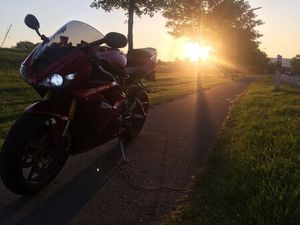TRIUMPH DAYTONA 675