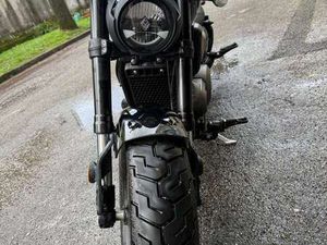 BENDA CHINCHILLA 500 NERO