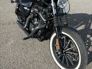 HARLEY DAVIDSON 883 IRON