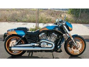 HARLEY DAVIDSON - VRSC-F VROD MUSCLE