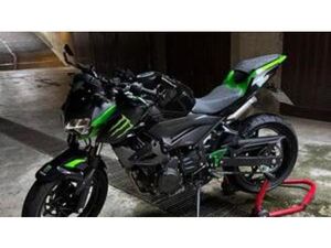 Z 400 PERFORMANCE (2023)