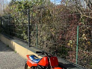 QR 50 HONDA 1983-1984 COLLECTOR