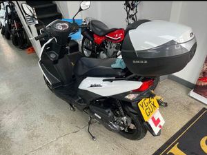 SYM, MASK, 2024, 49 (CC)