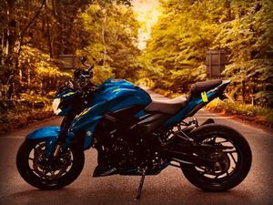 SUZUKI, GSX-S, 2019, 749 (CC)