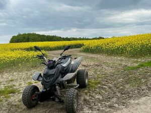 QUAD SHINERAY STIXE 250 CCM