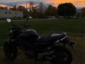 SUZUKI - SFV 650 GLADIUS