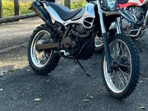 BETA ALP 4.0 DEL 2006