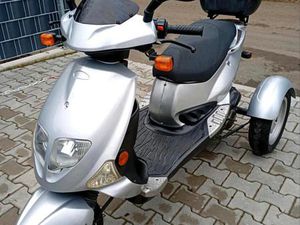 PGO TR3 50 TRIKE DREIRAD SCOOTER MOTOROLLER RÜCKWÄRTSGANG 45ER