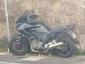 YAMAHA TDM 900 - 2001