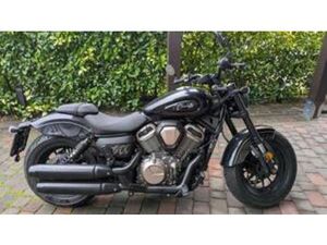 CHINCHILLA 500 V2 (2025 - 26)