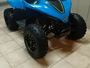 CFMOTO CFORCE 110