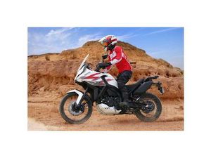 ZONTES 703F 19 CALI + GRATIS BIALYSTOK ANTONIUK