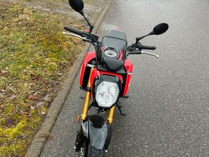 HONDA GROM MSX125 2024 NUR 1970KM 1HAND