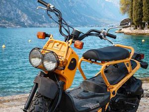 HONDA ZOOMER ZUM VERLIEBEN ❤️☀️