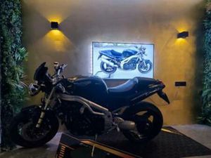 TRIUMPH SPEED TRIPLE T509 108PK UNIEKE STAAT, BANDEN ZGAN — MOTOREN | TRIUMPH — MARKTPLAATS